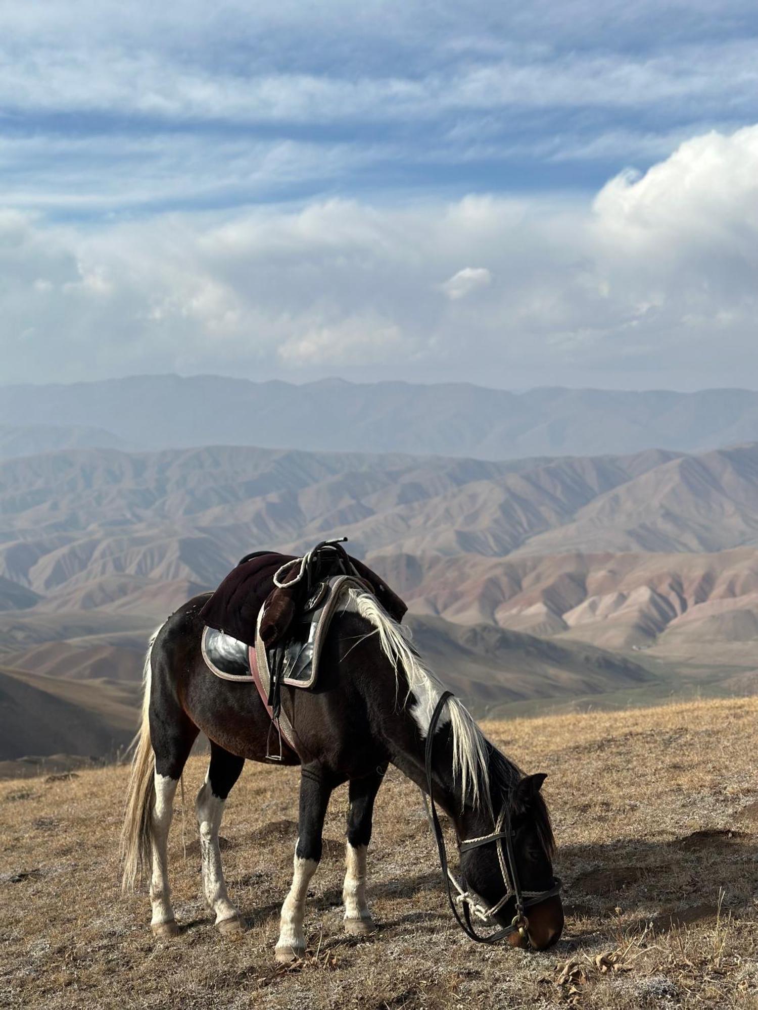 Yurt Camp Azamat At Song Kol Lake Bagysh Kültér fotó