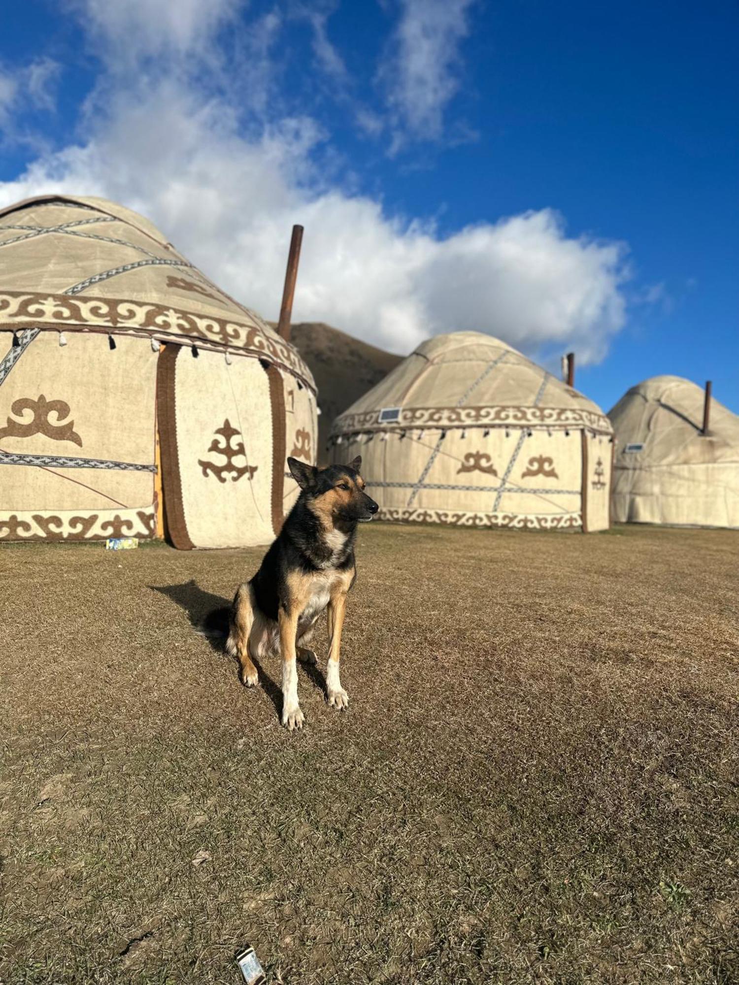 Yurt Camp Azamat At Song Kol Lake Bagysh Kültér fotó