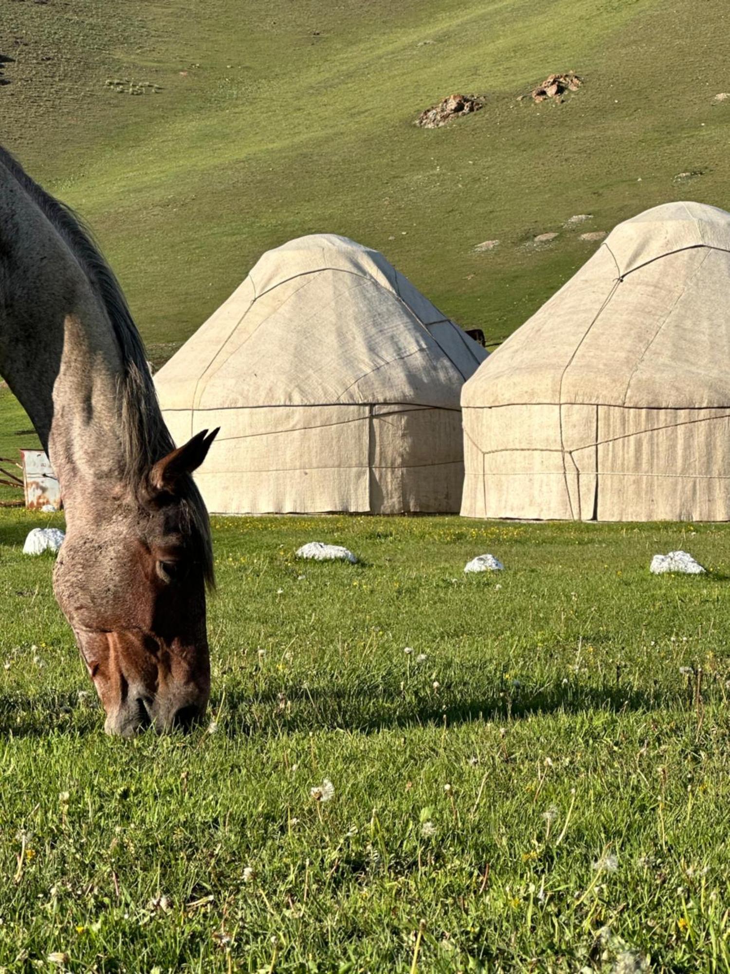 Yurt Camp Azamat At Song Kol Lake Bagysh Kültér fotó