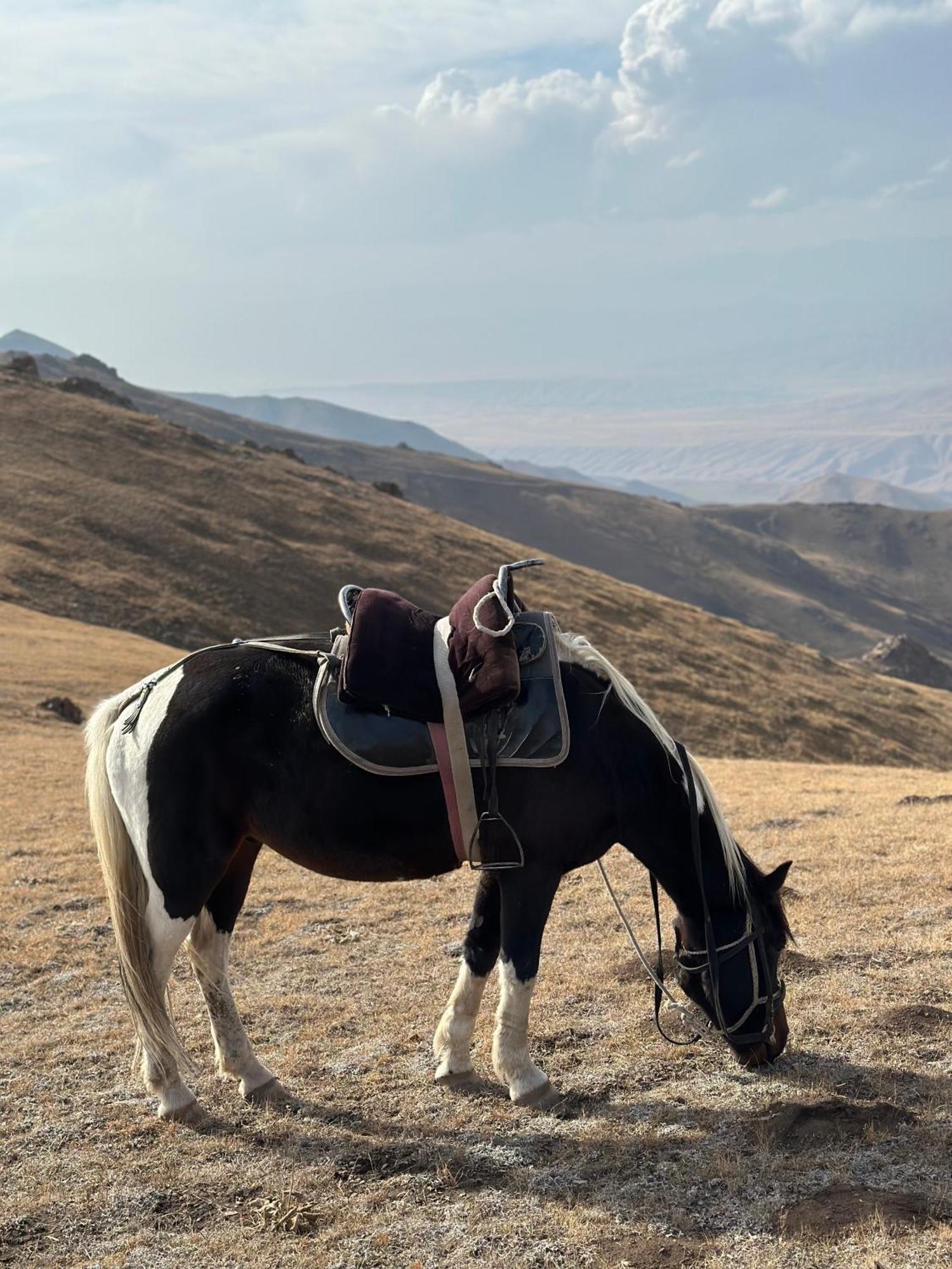 Yurt Camp Azamat At Song Kol Lake Bagysh Kültér fotó